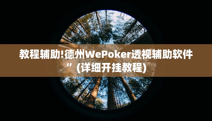 教程辅助!德州WePoker透视辅助软件”(详细开挂教程)