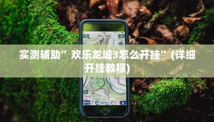 实测辅助”欢乐龙城3怎么开挂”(详细开挂教程)
