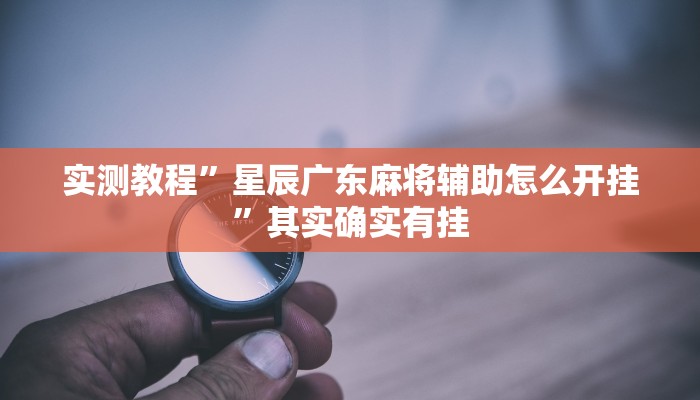 实测教程”星辰广东麻将辅助怎么开挂”其实确实有挂