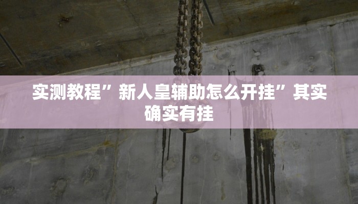 实测教程”新人皇辅助怎么开挂”其实确实有挂