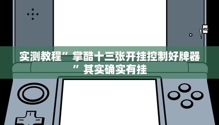 实测教程”掌酷十三张开挂控制好牌器”其实确实有挂