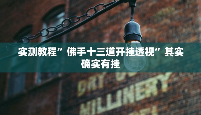 实测教程”佛手十三道开挂透视”其实确实有挂
