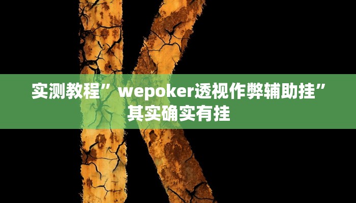 实测教程”A6棋牌挂怎么安装”其实确实有挂