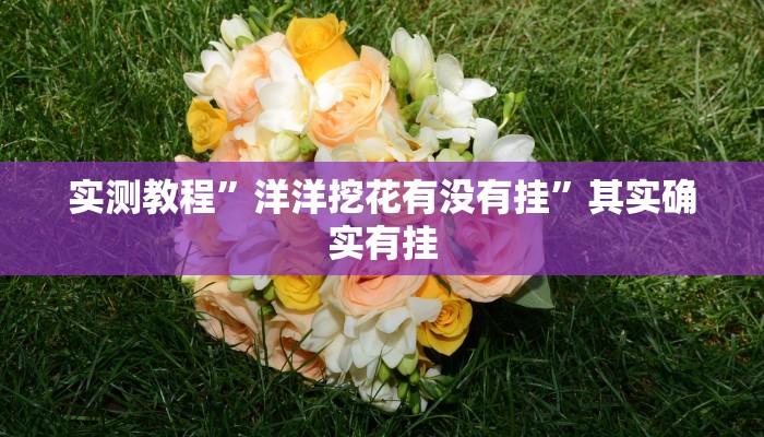 实测教程”洋洋挖花有没有挂”其实确实有挂