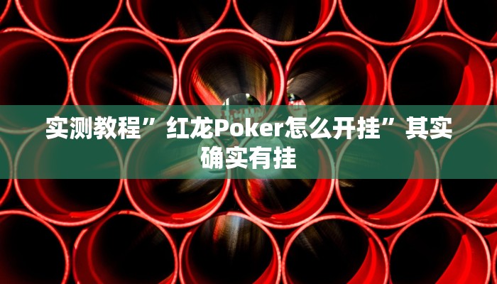 实测教程”红龙Poker怎么开挂”其实确实有挂
