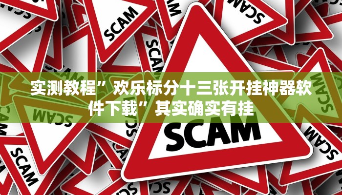 实测教程”欢乐标分十三张开挂神器软件下载”其实确实有挂