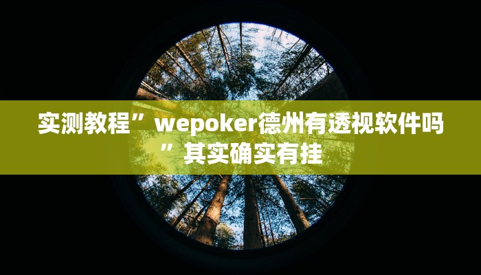 实测教程”wepoker德州有透视软件吗”其实确实有挂
