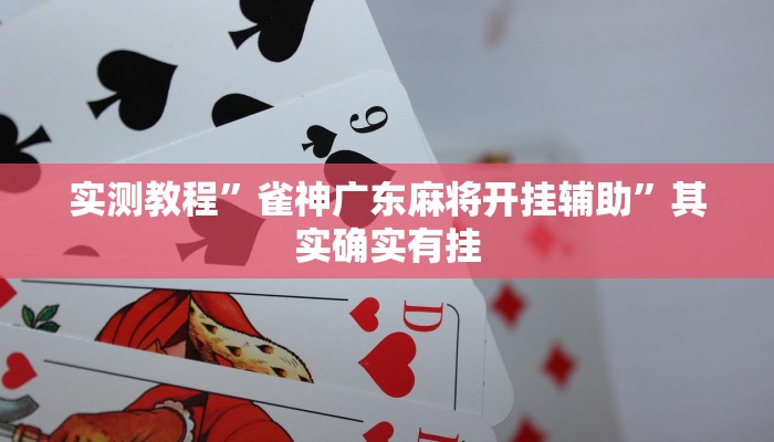 实测教程”雀神广东麻将开挂辅助”其实确实有挂