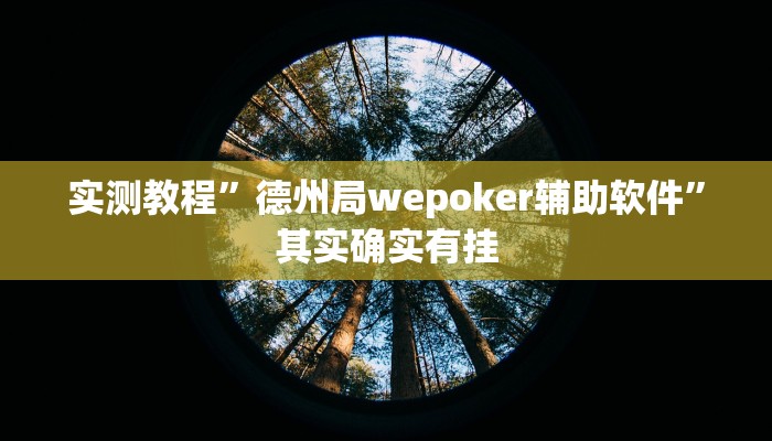 实测教程”德州局wepoker辅助软件”其实确实有挂