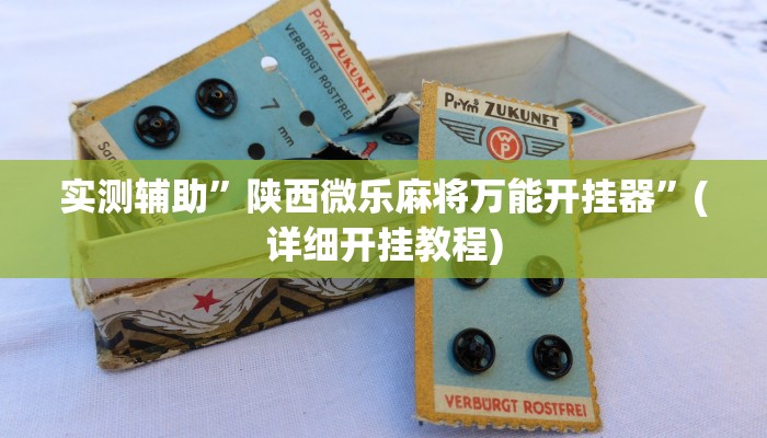 实测辅助”陕西微乐麻将万能开挂器”(详细开挂教程)