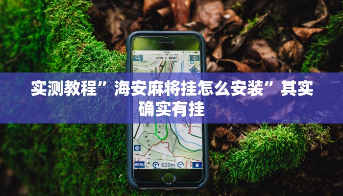 实测教程”海安麻将挂怎么安装”其实确实有挂