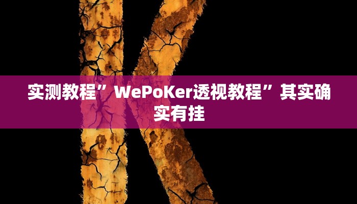 实测教程”WePoKer透视教程”其实确实有挂