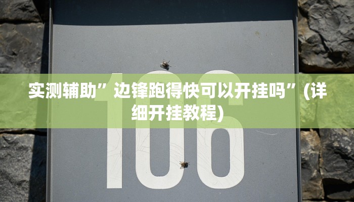 实测辅助”边锋跑得快可以开挂吗”(详细开挂教程)