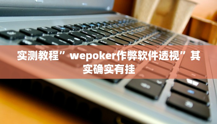 实测教程”wepoker作弊软件透视”其实确实有挂