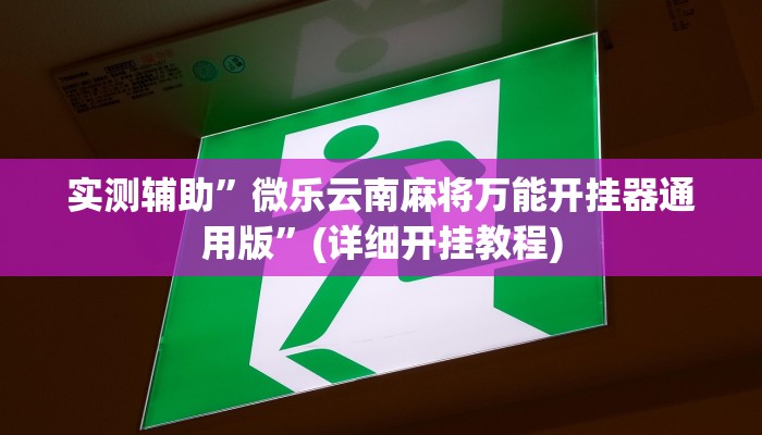 实测辅助”微乐云南麻将万能开挂器通用版”(详细开挂教程)