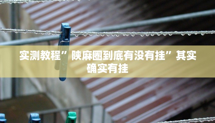 实测教程”陕麻圈到底有没有挂”其实确实有挂
