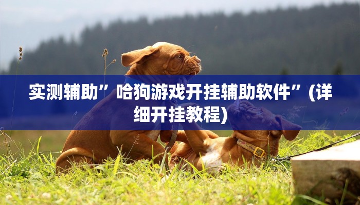 实测辅助”哈狗游戏开挂辅助软件”(详细开挂教程)