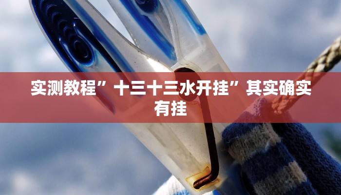 实测教程”十三十三水开挂”其实确实有挂