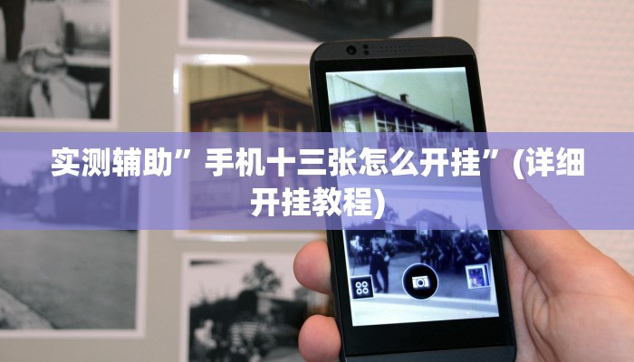 实测辅助”手机十三张怎么开挂”(详细开挂教程)