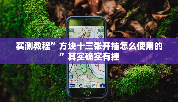 实测教程”方块十三张开挂怎么使用的”其实确实有挂