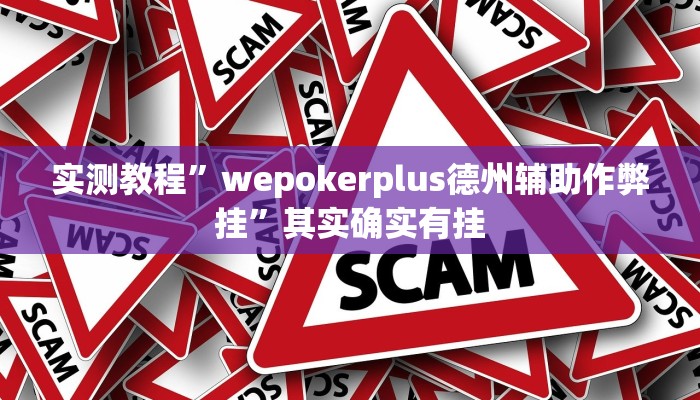 实测教程”wepokerplus德州辅助作弊挂”其实确实有挂