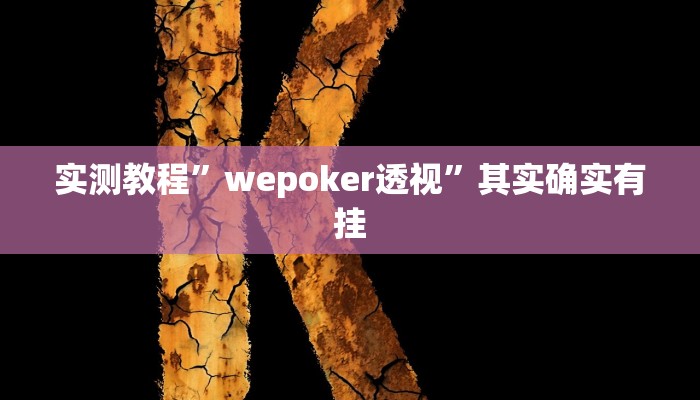 实测教程”wepoker透视”其实确实有挂