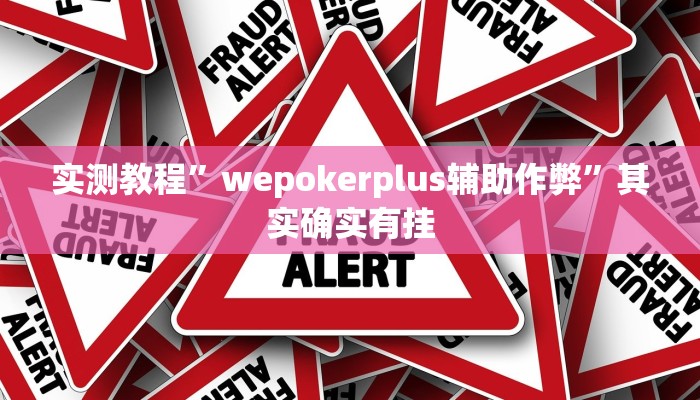 实测教程”wepokerplus辅助作弊”其实确实有挂