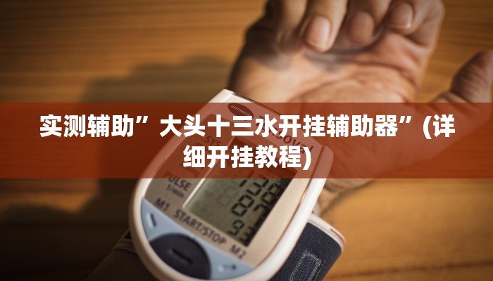 实测辅助”大头十三水开挂辅助器”(详细开挂教程)
