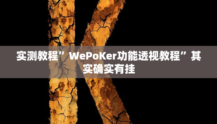 实测教程”WePoKer功能透视教程”其实确实有挂