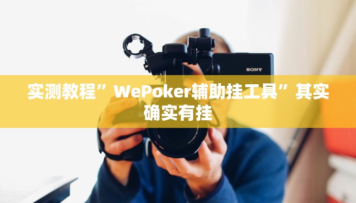 实测教程”WePoker辅助挂工具”其实确实有挂