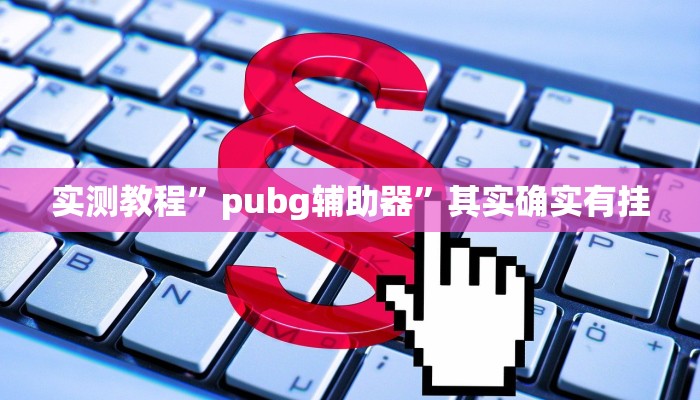 实测教程”pubg辅助器”其实确实有挂