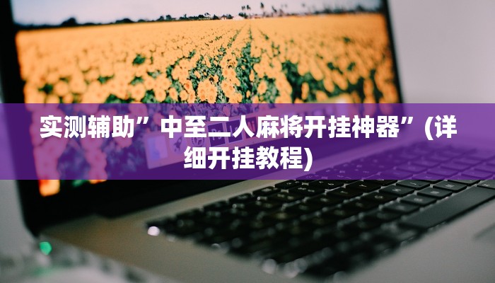 实测辅助”中至二人麻将开挂神器”(详细开挂教程)