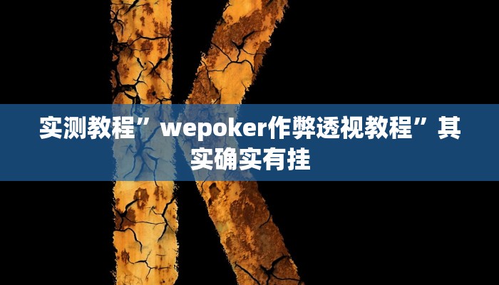 实测教程”wepoker作弊透视教程”其实确实有挂