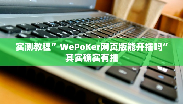 实测教程”WePoKer网页版能开挂吗”其实确实有挂