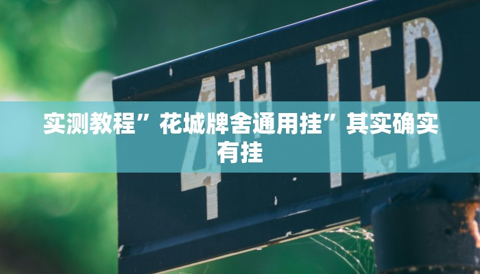 实测教程”花城牌舍通用挂”其实确实有挂