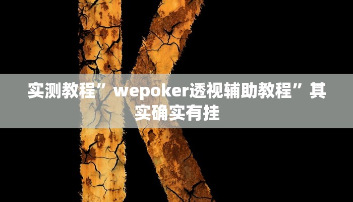 实测教程”wepoker透视辅助教程”其实确实有挂