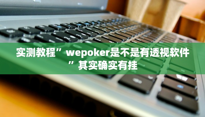 实测教程”wepoker是不是有透视软件”其实确实有挂