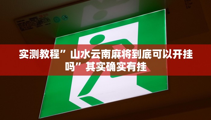 实测教程”山水云南麻将到底可以开挂吗”其实确实有挂