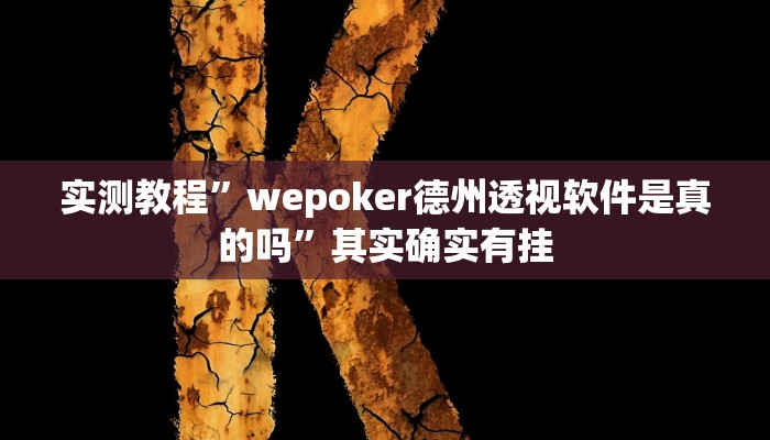 教程辅助!飞驰娱乐作弊透视教程”(详细开挂教程)