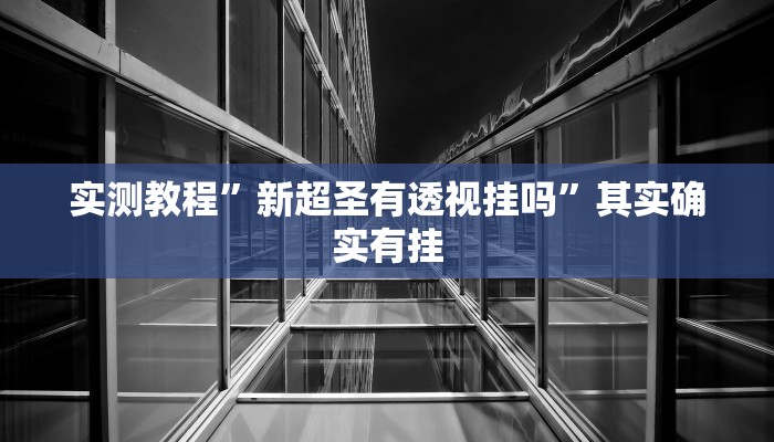 实测教程”新超圣有透视挂吗”其实确实有挂