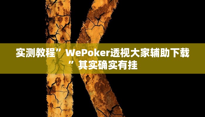 实测教程”WePoker透视大家辅助下载”其实确实有挂