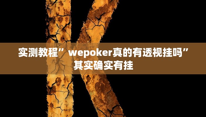 教程辅助!WePoker德州辅助透视软件”(详细开挂教程)
