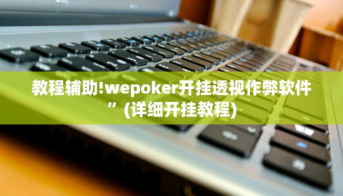 教程辅助!wepoker开挂透视作弊软件”(详细开挂教程)