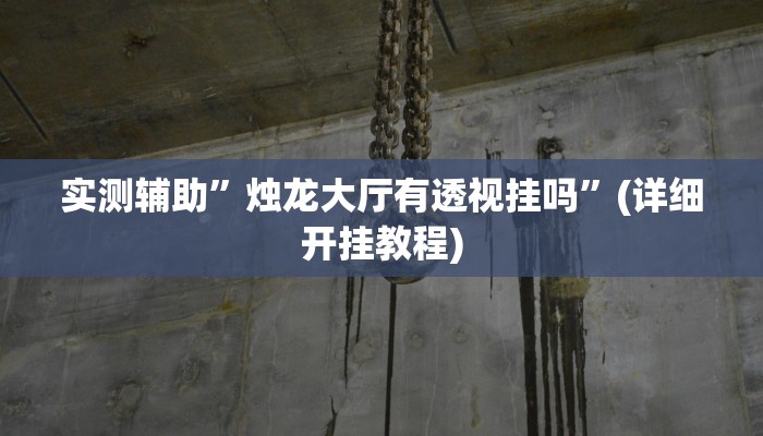 实测辅助”烛龙大厅有透视挂吗”(详细开挂教程)