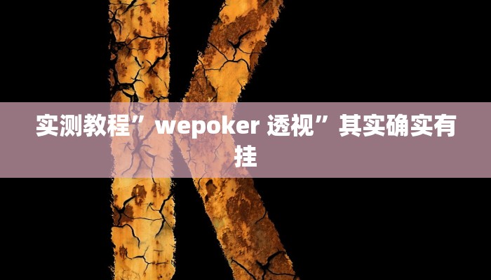 实测教程”wepoker 透视”其实确实有挂
