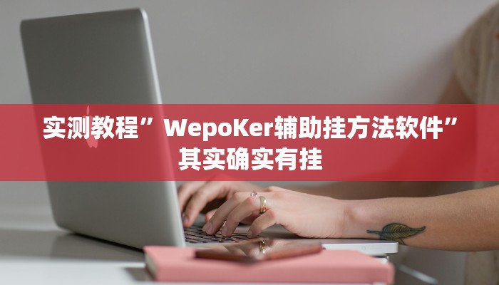 实测教程”WepoKer辅助挂方法软件”其实确实有挂