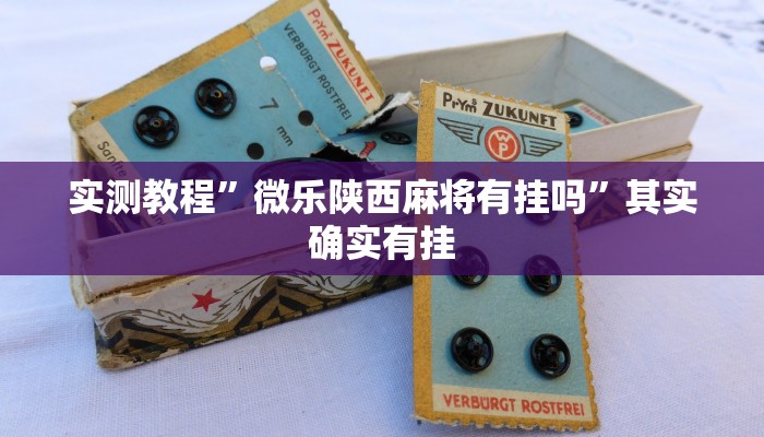 实测教程”微乐陕西麻将有挂吗”其实确实有挂