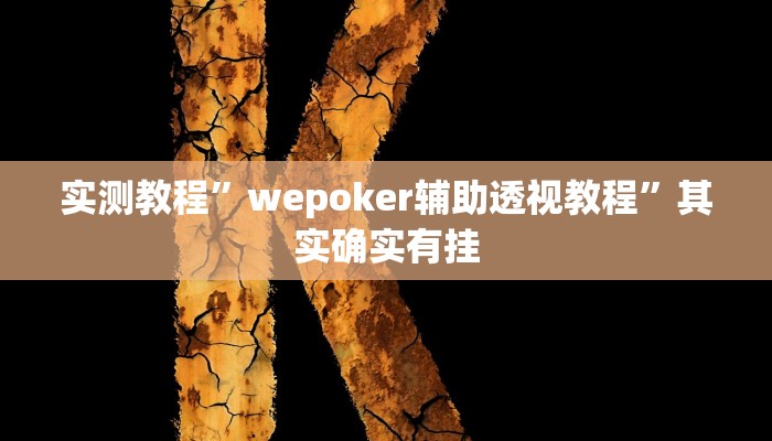 实测教程”wepoker辅助透视教程”其实确实有挂