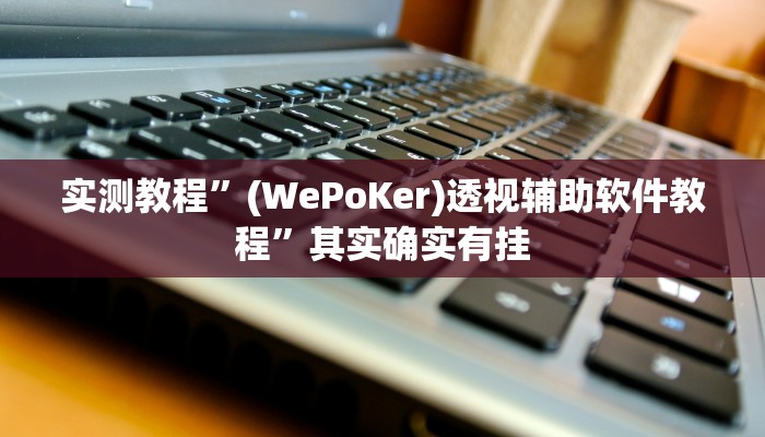 实测教程”(WePoKer)透视辅助软件教程”其实确实有挂