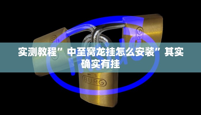 实测教程”中至窝龙挂怎么安装”其实确实有挂